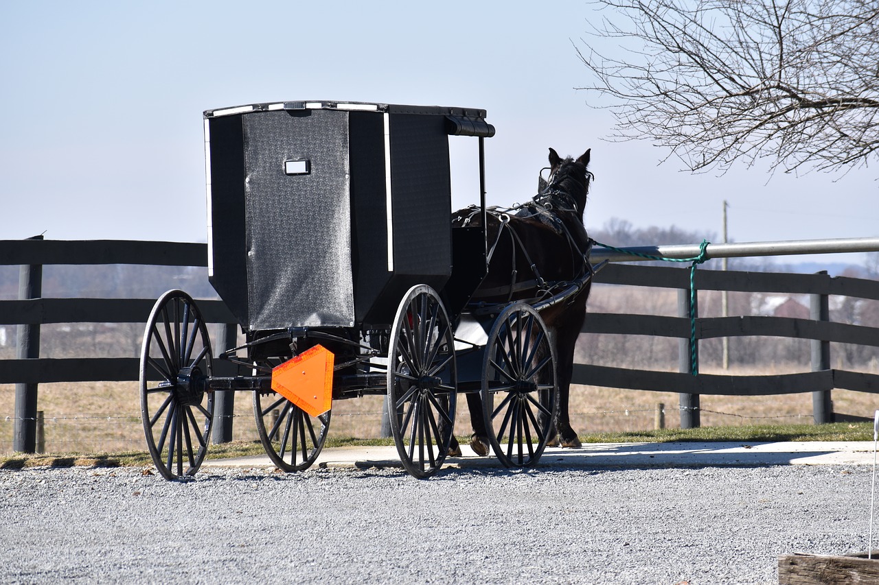 Amish,  Buggy,  Amish Buggy,  Ohio,  Arklys,  Gabenimas,  Be Honoraro Mokesčio, Nemokamos Nuotraukos,  Nemokama Licenzija