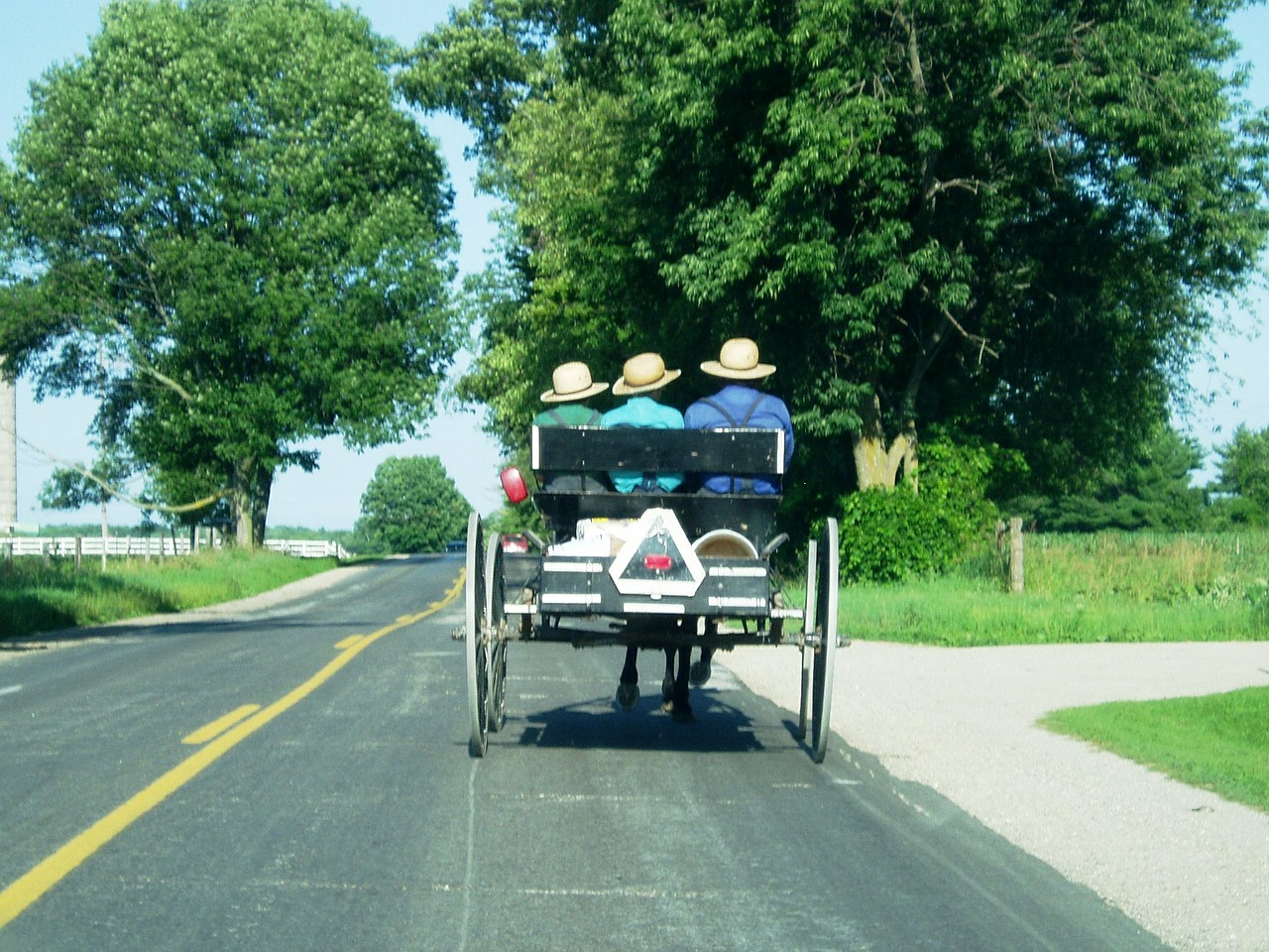 Amish, Vežimas, Ūkis, Šalis, Žemės Ūkio Paskirties Žemė, Kaimas, Arklys, Buggy, Kraštovaizdis, Nemokamos Nuotraukos