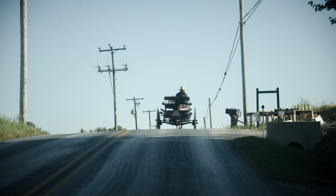 Amish, Treneris, Kelias, Arklių Vilkikas, Vilkikas, Transportas, Komanda, Nemokamos Nuotraukos,  Nemokama Licenzija