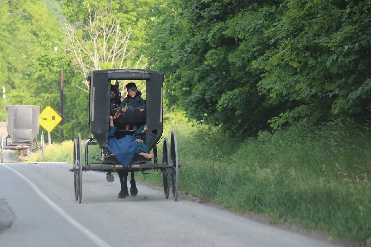 Amišai, Joe Keim, Amišo Šalis, Amish Buggy, Nemokamos Nuotraukos,  Nemokama Licenzija