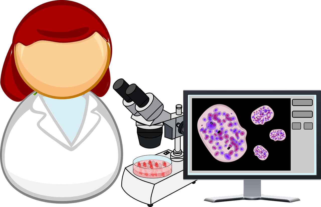 Analizė, Biologija, Ląstelė, Ląstelių Kultūros, Liga, Augti, Sveikata, Laboratorija, Mikroskopas, Molekulinė Biologija