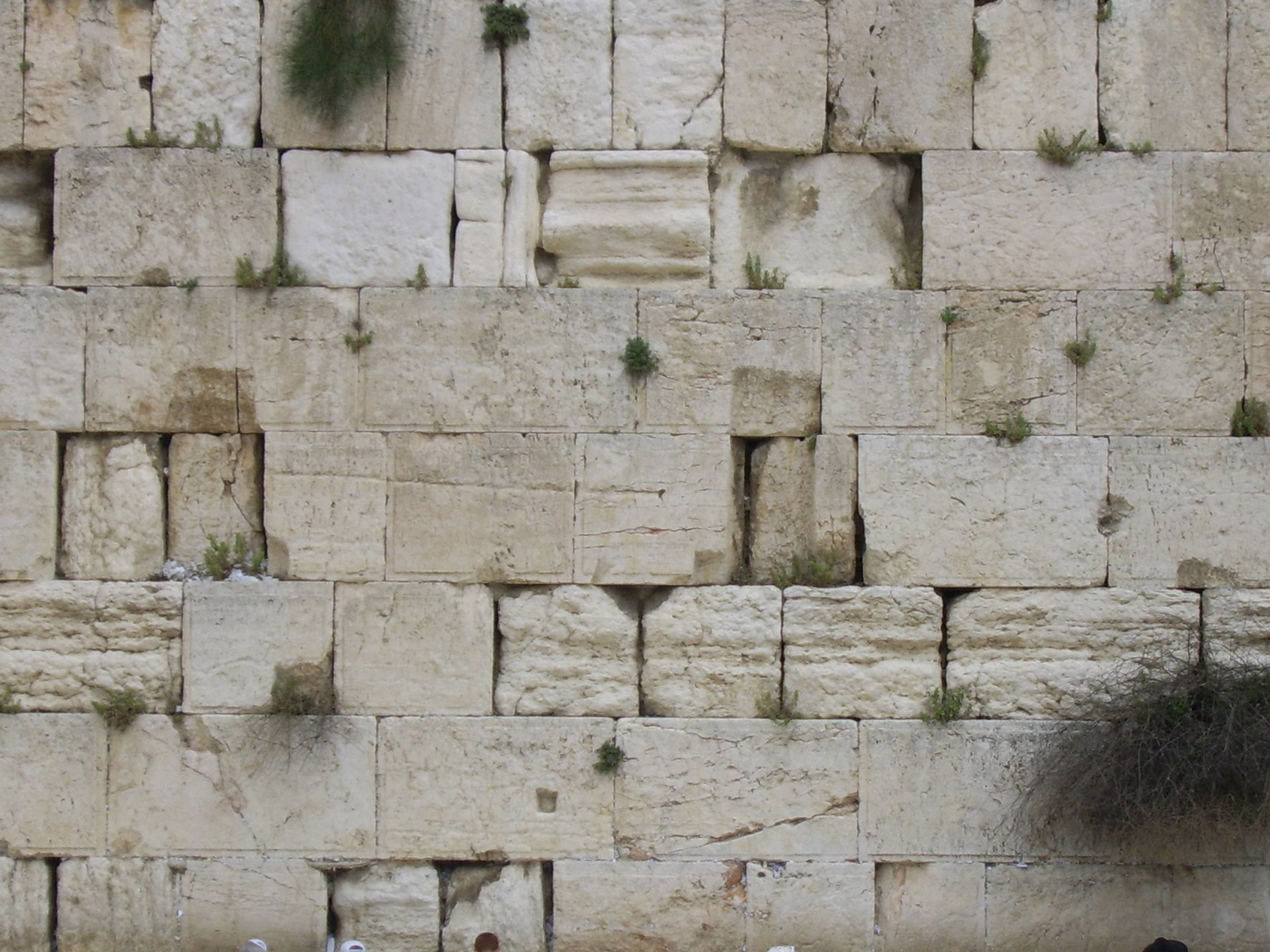 Senovės,  Siena,  Jeruzalė,  Vakarų,  Senovės Sienos Uždaras Vaizdas, Nemokamos Nuotraukos,  Nemokama Licenzija