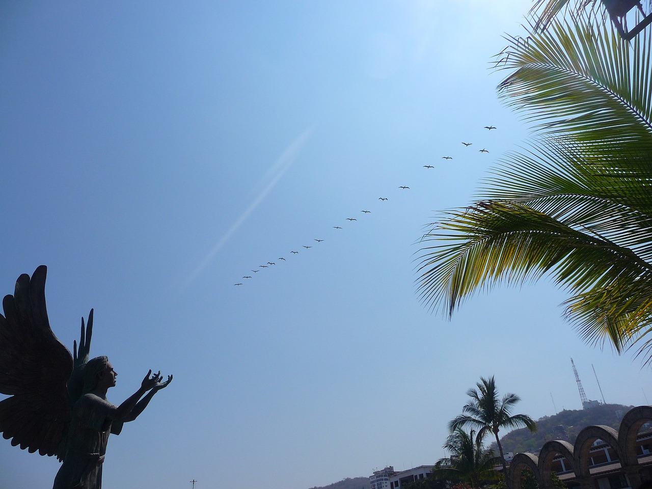 Angelas Ir Paukščiai, Meksikos Angelo Statula, Puerto Vallarta Statula, Vilties Angelas, Taikos Skulptūros Pasiuntinys, Skulptūra Ant Malecon, Nemokamos Nuotraukos,  Nemokama Licenzija