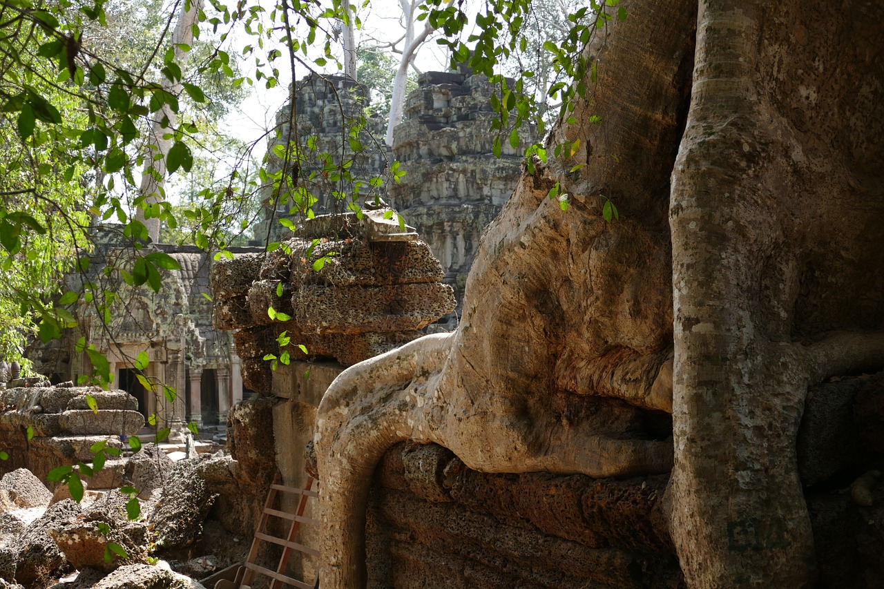 Angkor, Angkor Wat, Kambodža, Šventykla, Asija, Šventyklos Kompleksas, Istoriškai, Sugadinti, Medžio Šaknis, Džiunglės