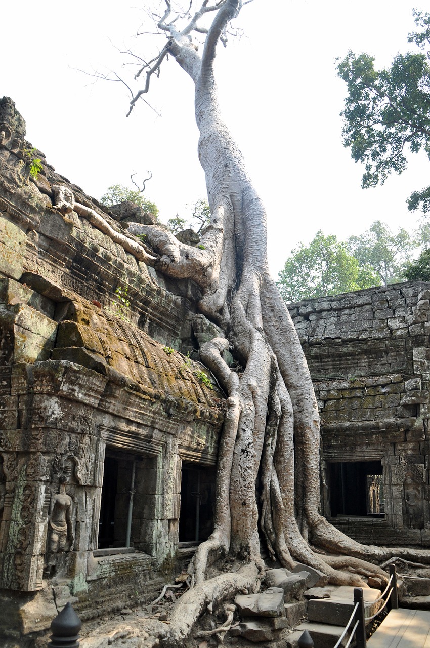 Angkor, Hinduizmas, Veidai, Šventyklos Kompleksas, Istorija, Skulptūra, Istoriškai, Šventykla, Khmer, Asija