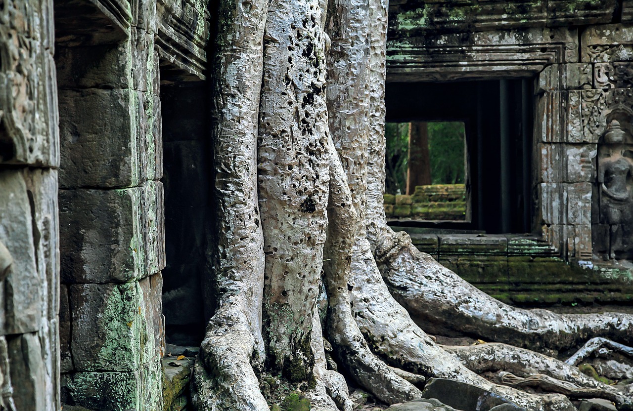 Angkor Wat, Kampo Asia, Pasaulio Paveldo Vieta, Nemokamos Nuotraukos,  Nemokama Licenzija