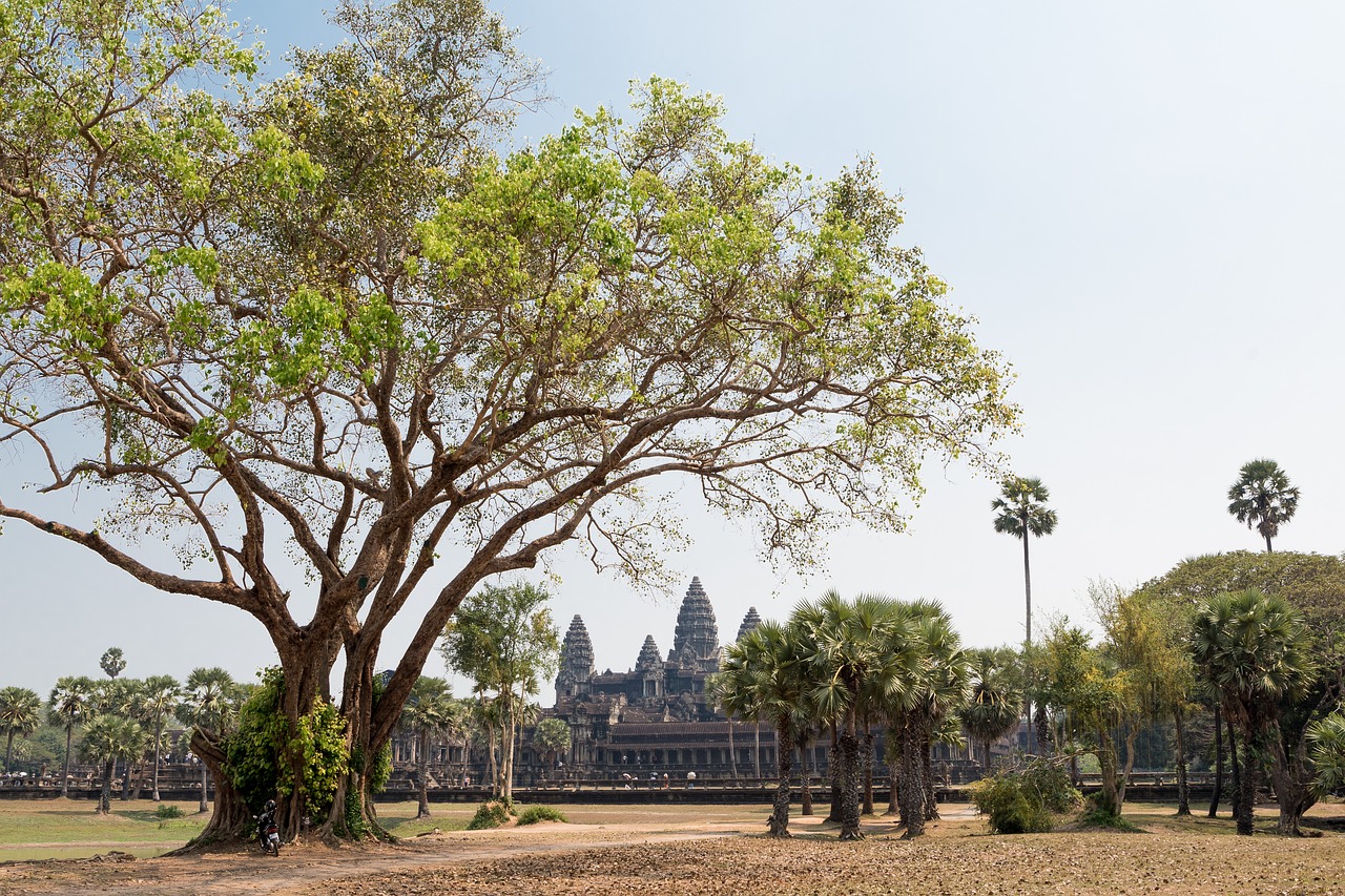 Angkor Wat,  Šventykla,  Siem Grižti,  Kambodža,  Senovės,  Religija,  Sugadinti,  Hinduizmas,  Be Honoraro Mokesčio, Nemokamos Nuotraukos