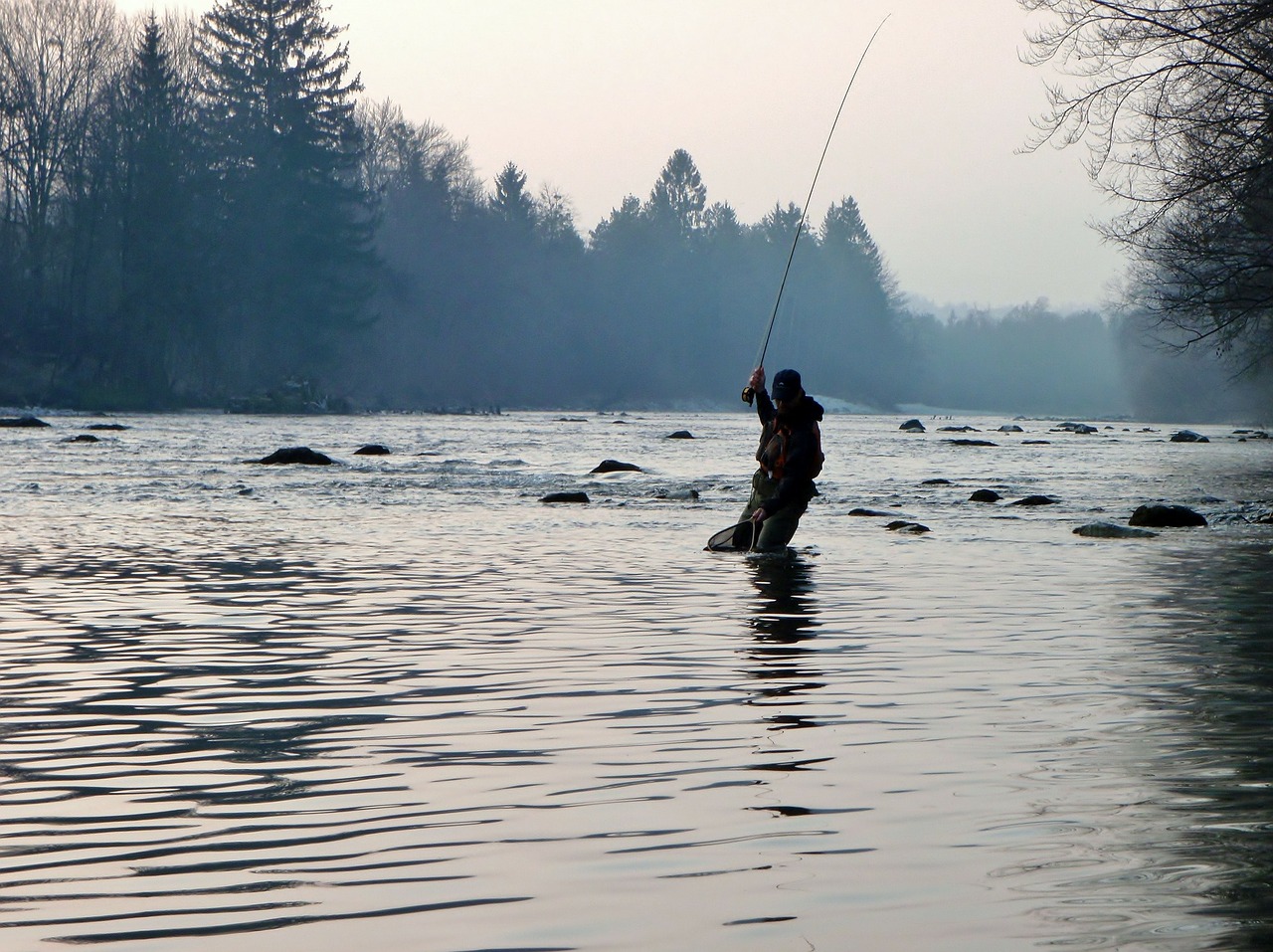 Žvejys, Sava, Skristi Žvejyba, Žuvis, Meškerė, Nemokamos Nuotraukos,  Nemokama Licenzija