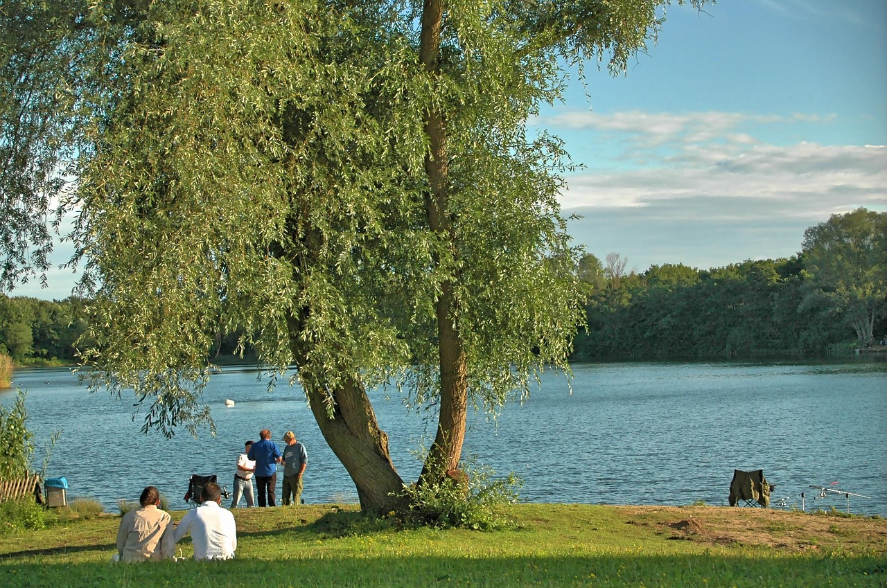 Žvejybos Tvenkinys, Laisvalaikis, Obertshausen, Waldsee, Vietos Poilsis, Nemokamos Nuotraukos,  Nemokama Licenzija