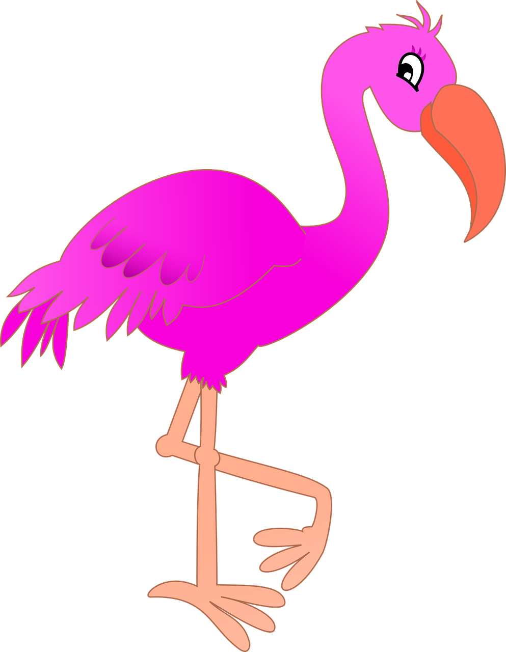 Gyvūnas, Paukštis, Animacinis Filmas, Flamingo, Rožinis, Nemokama Vektorinė Grafika, Nemokamos Nuotraukos,  Nemokama Licenzija