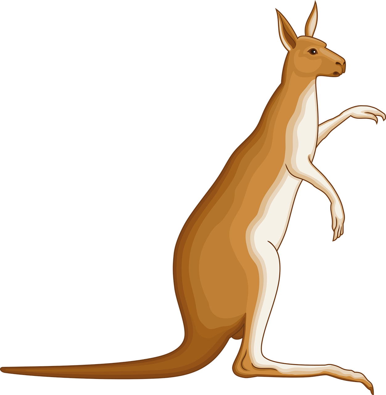 Gyvūnas, Australia, Australian, Kengūra, Marsupial, Zoologijos Sodas, Nemokama Vektorinė Grafika, Nemokamos Nuotraukos,  Nemokama Licenzija