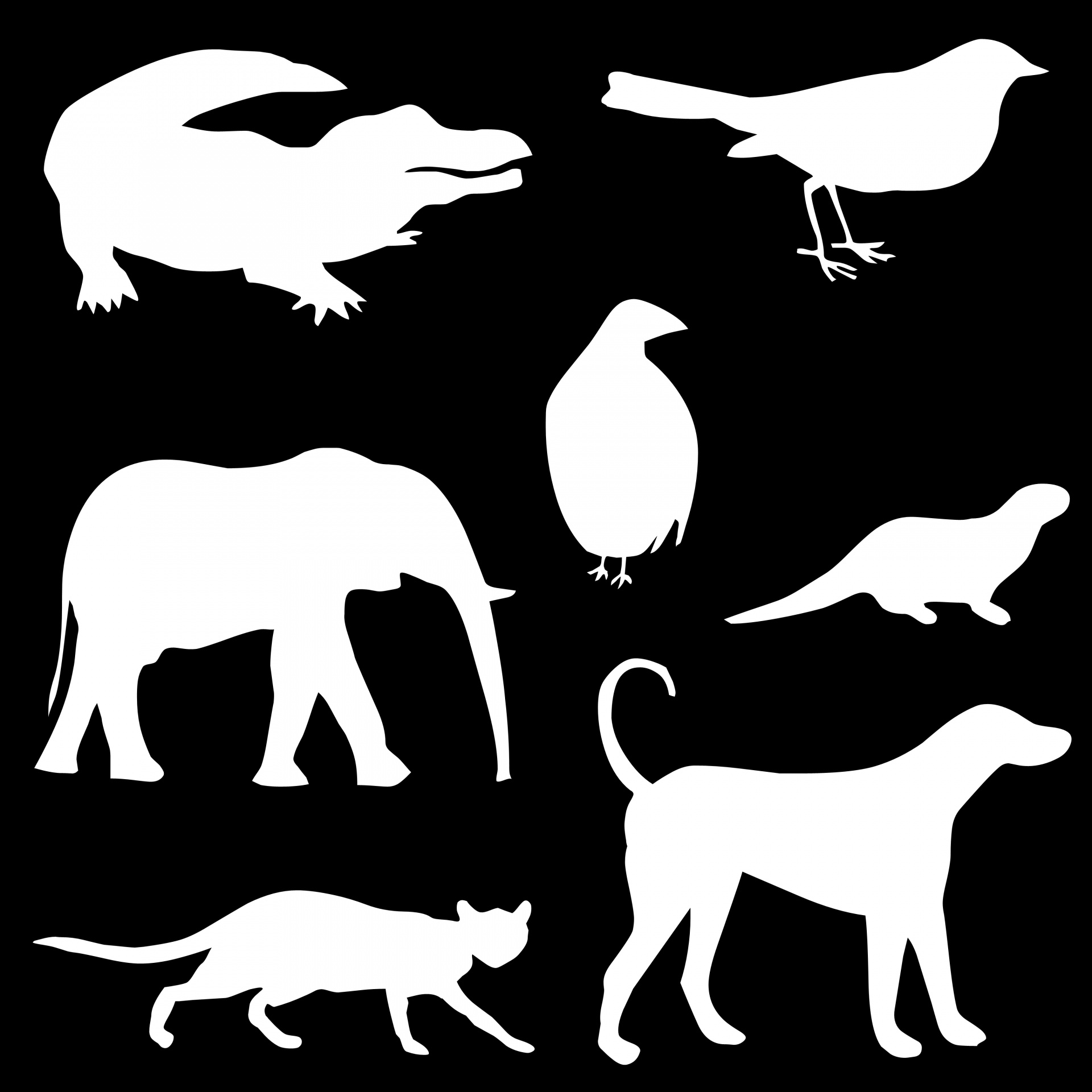 Paukštis,  Šuo,  Katė,  Dramblys,  Ūdra,  Nustatyti,  Gyvūnai,  Simboliai,  Piešimas,  Formos