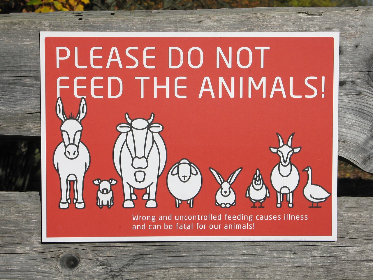 Don t do this please. Please do not Feed the animals знак. Животных не кормить табличка. Животных не кормить. Don’t Feed the animals.
