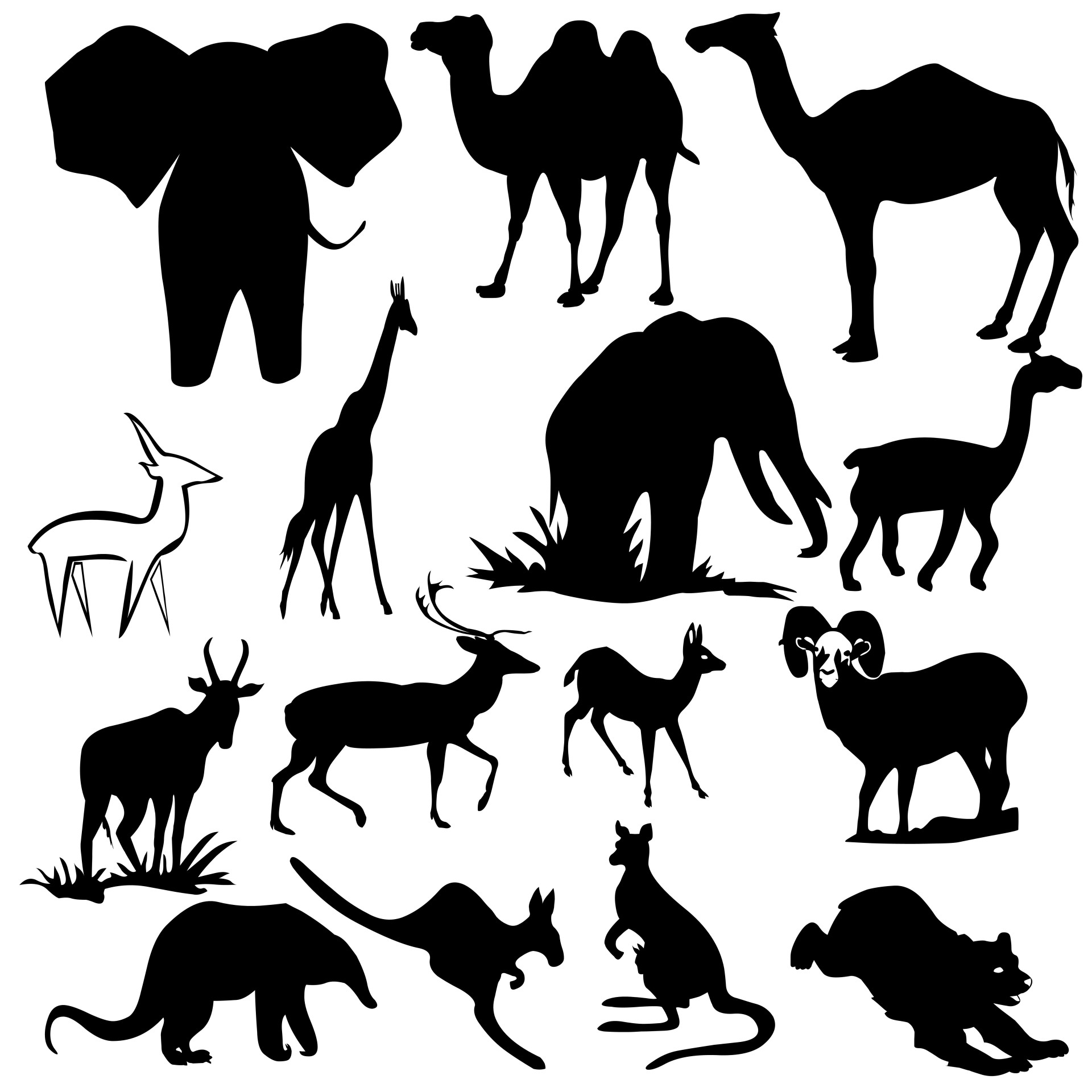 Gyvūnas,  Beždžionė,  Safari,  Izoliuotas,  Kontūrai,  Trimitas,  Vaizdas,  Ausys,  Temos,  Dramblys