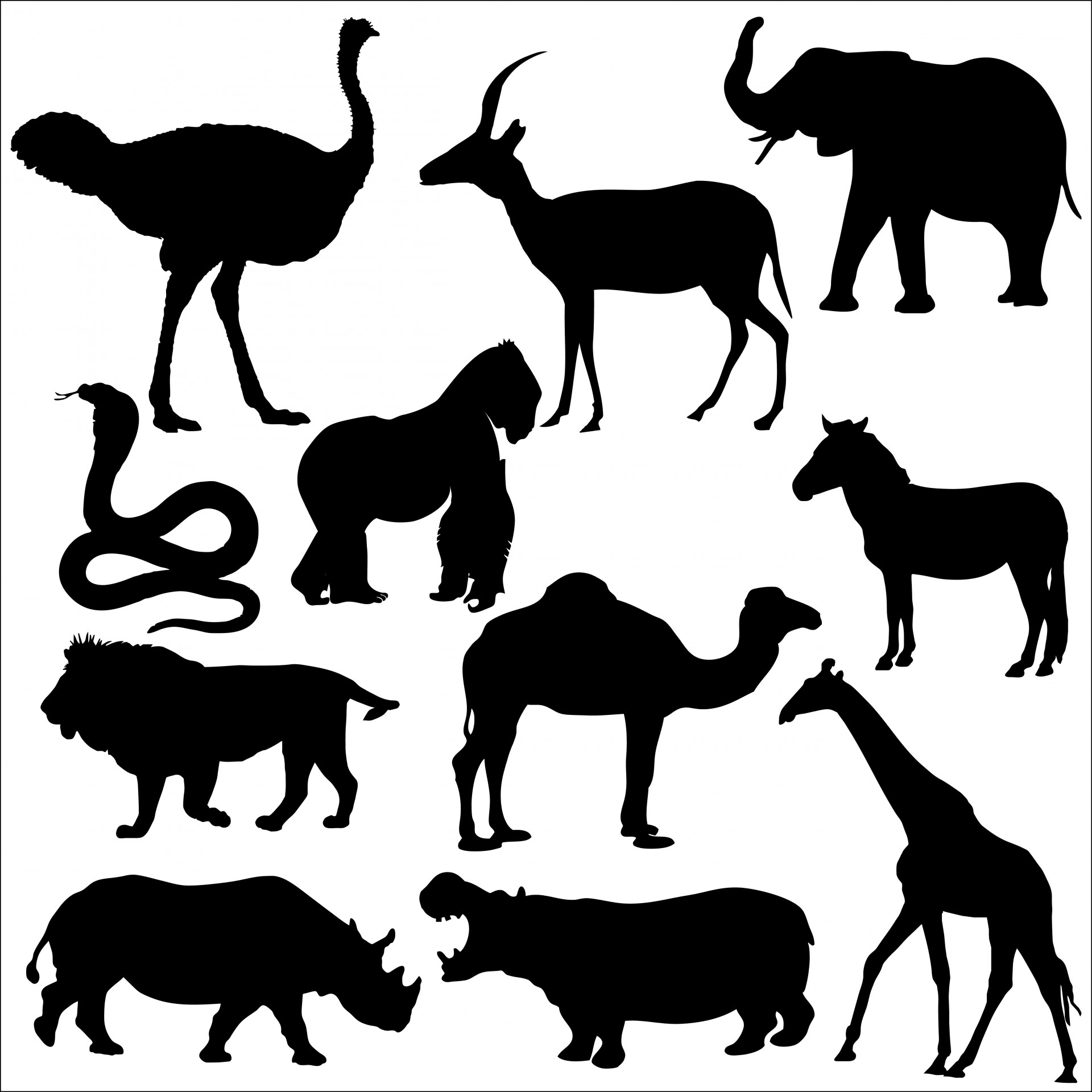 Gyvūnas,  Gyvūnai,  Afrika,  Afrikos,  Laukiniai,  Juoda,  Siluetas,  Siluetai,  Gyvatė,  Kobra
