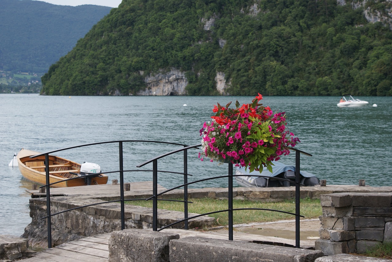Annecy Ežeras, Valtis, Gėlė, Nemokamos Nuotraukos,  Nemokama Licenzija