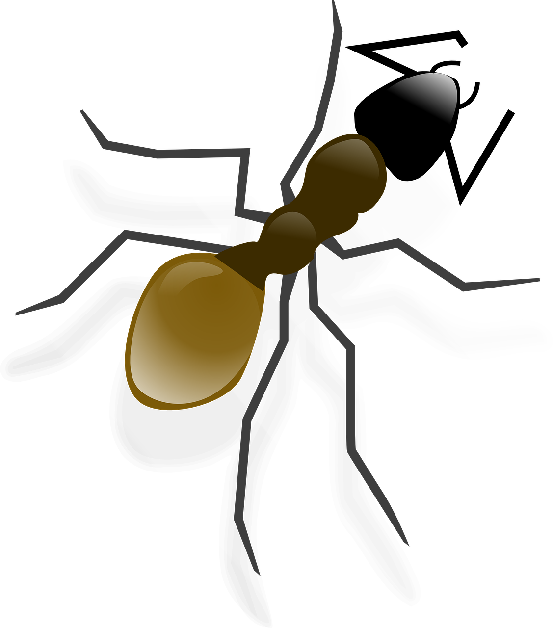 Ant, Vabzdys, Gyvūnas, Laukinė Gamta, Nemokama Vektorinė Grafika, Nemokamos Nuotraukos,  Nemokama Licenzija