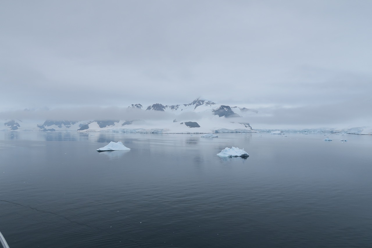 Antarktida,  Ledas,  Sniegas,  Iceberg,  Natūralus,  Sušaldyti,  Kraštovaizdis,  Baltos Spalvos,  Pilkas, Nemokamos Nuotraukos
