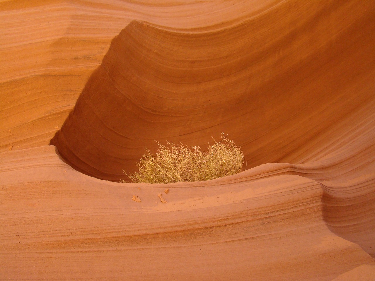 Antilopės Kanjonas, Arizona, Antilopė, Kanjonas, Natūralus, Rokas, Navajo, Šviesa, Smiltainis, Oranžinė