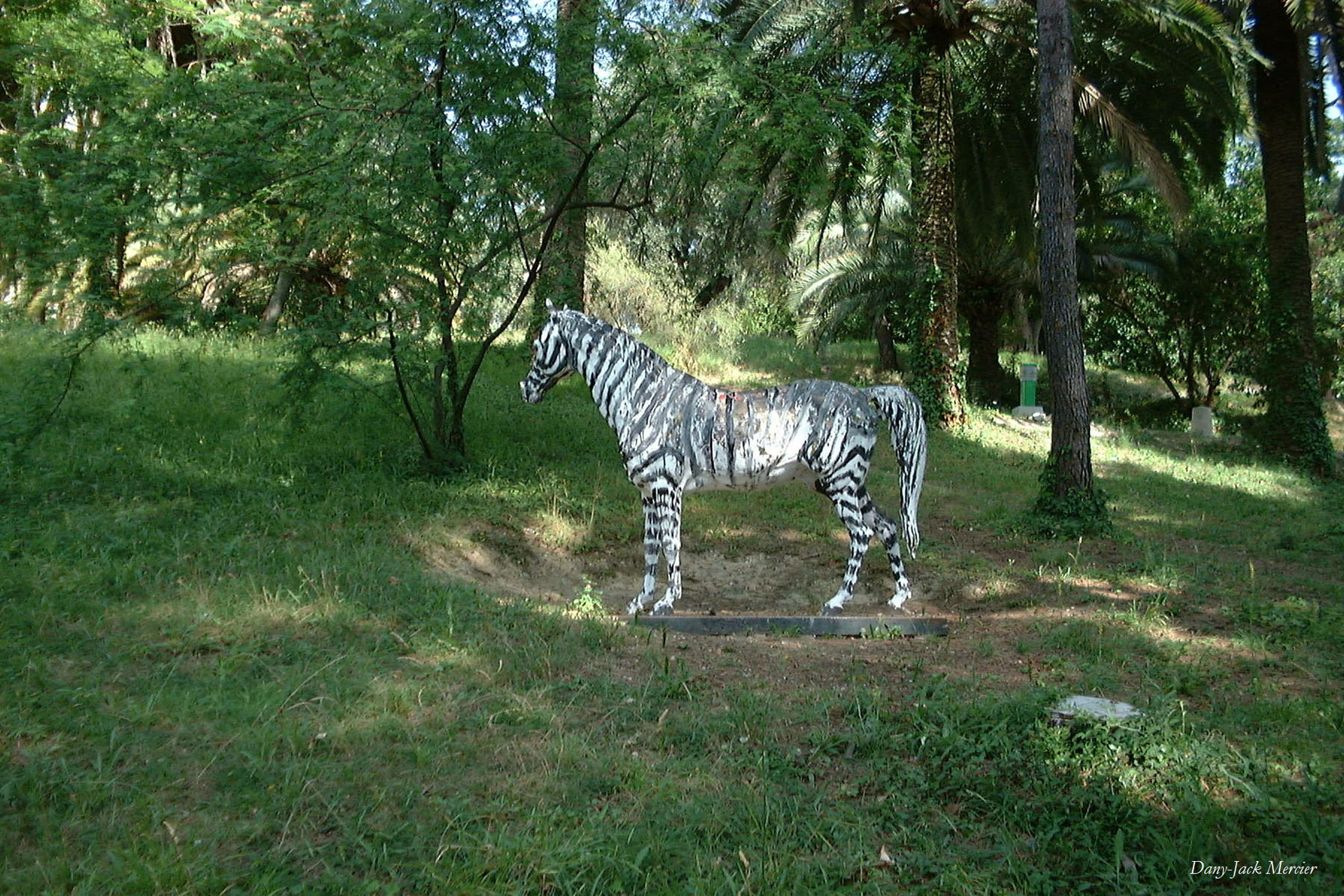 Zebra,  Parkas,  Statula,  Simbolis,  Nuostabus,  Gyvūnas,  Gamta,  Žaluma,  Išvaizda, Nemokamos Nuotraukos