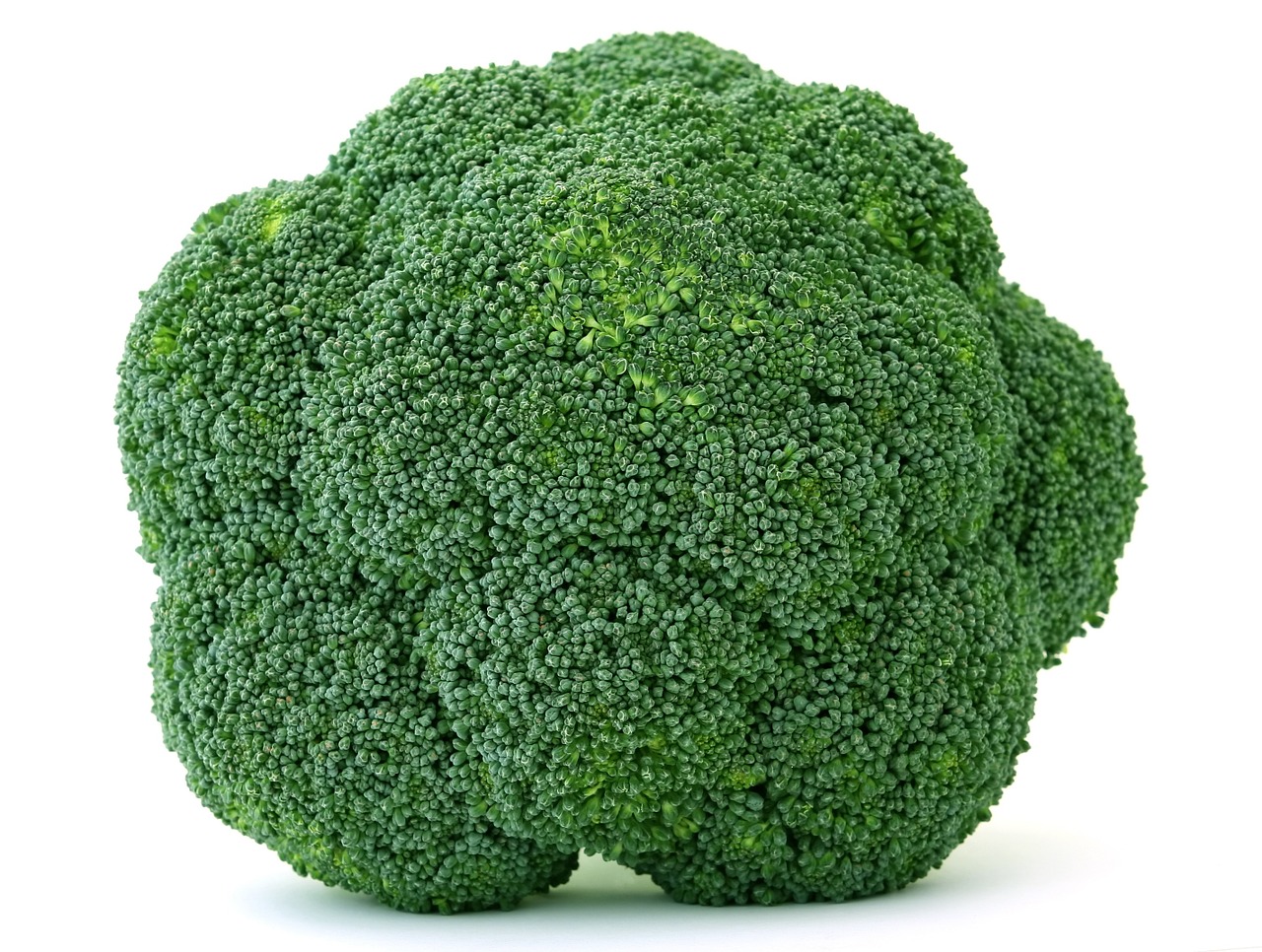 Apetitas, Brokoliai, Brokolių Brokoliai, Kalorijos, Maitinimas, Spalvinga, Kulinarija, Virimo, Virtuvė, Kulinarijos