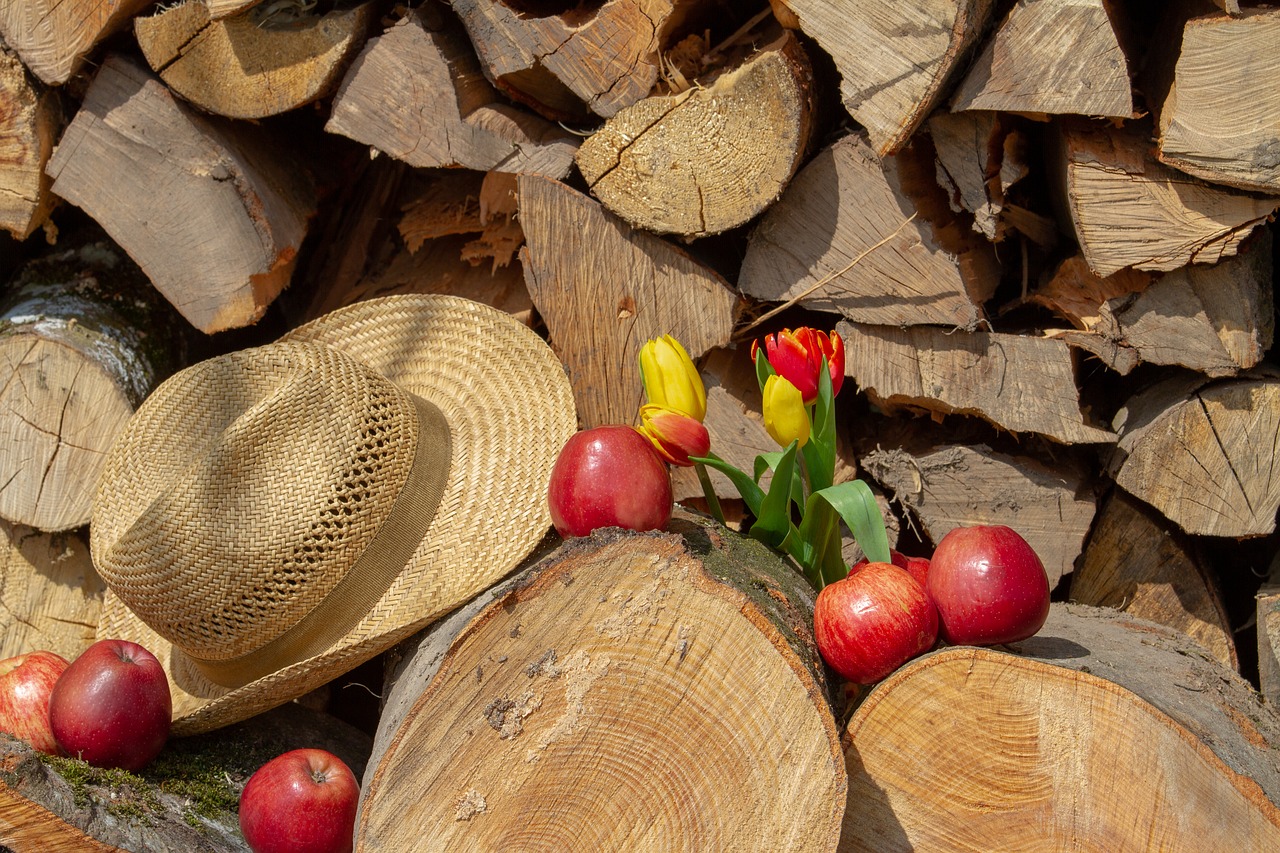 Apple,  Mediena,  Kepurė,  Tulpė,  Gėlė,  Miškai,  Maisto,  Pobūdį,  Fonas,  Holzstapel