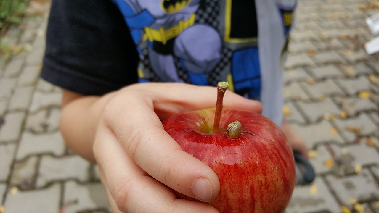 Apple,  Sraigė,  Vaikas,  Vaiko Ranka,  Apvalkalas,  Lėtai,  Gyvūnas,  Iš Arti, Nemokamos Nuotraukos,  Nemokama Licenzija