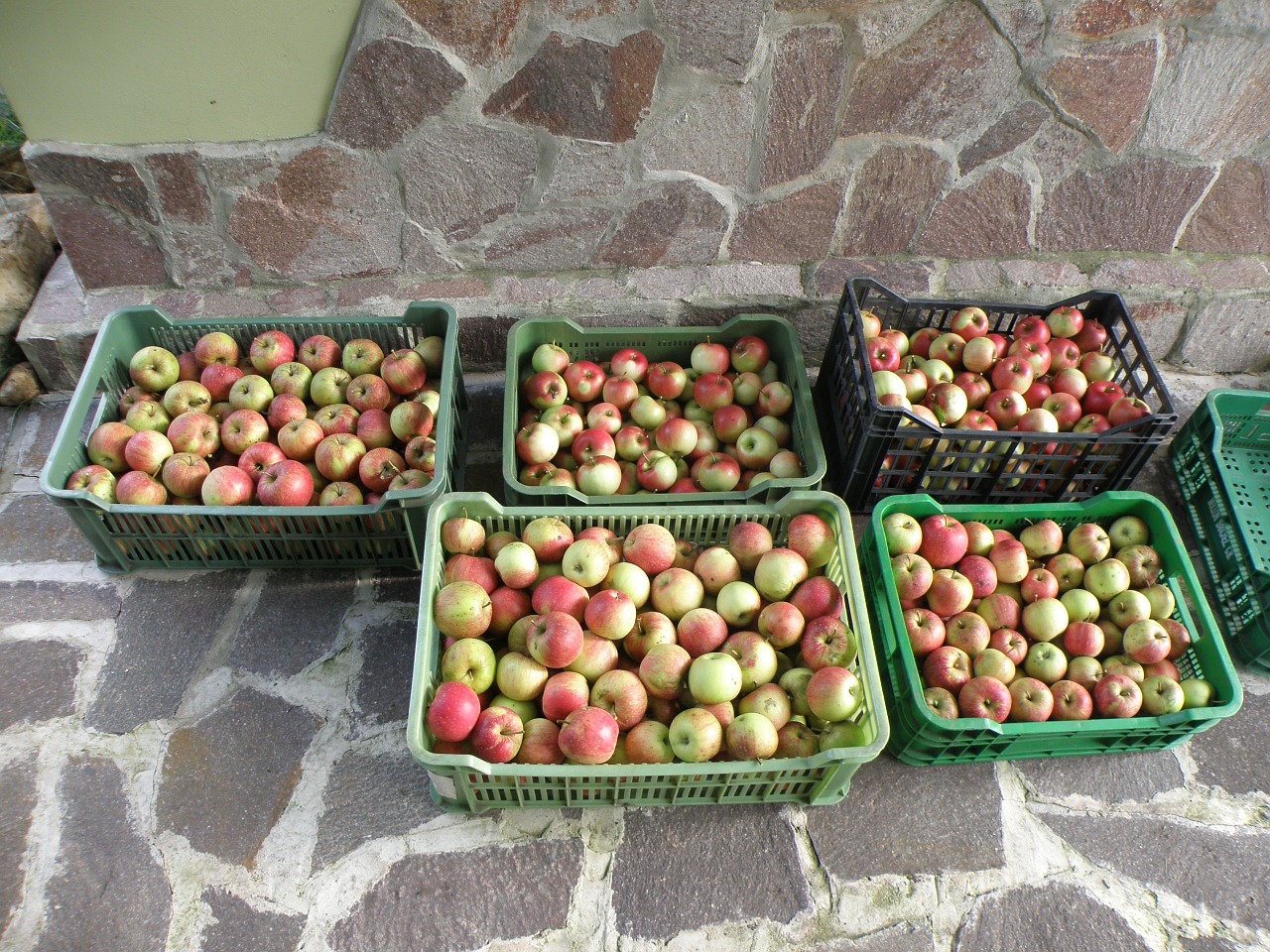 Obuolys, Derlius, Žalias, Raudona, Dėžė, Sodas, Nemokamos Nuotraukos,  Nemokama Licenzija