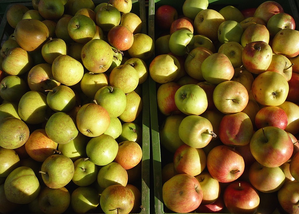 Obuolys, Vaisiai, Vitaminai, Sveikas, Žalias, Obstkiste, Turgus, Maistas, Valgyti, Nemokamos Nuotraukos