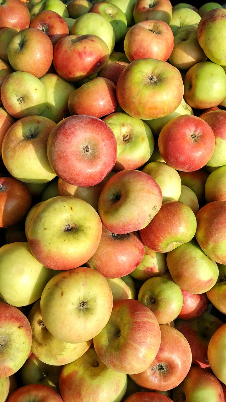 Obuoliai, Raudoni Obuoliai, Vaisiai, Sveikas, Nemokamos Nuotraukos,  Nemokama Licenzija
