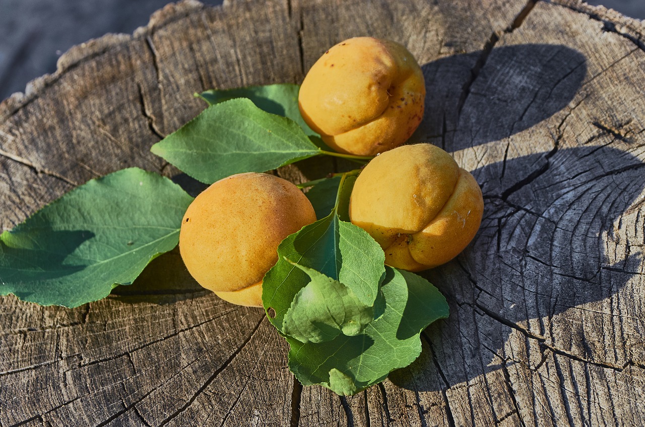 Abrikosai,  Maisto,  Vaisių,  Mitybos,  Derlius,  Augalų,  Vitaminai,  Žalias Maistas,  Vegetarizmas, Nemokamos Nuotraukos