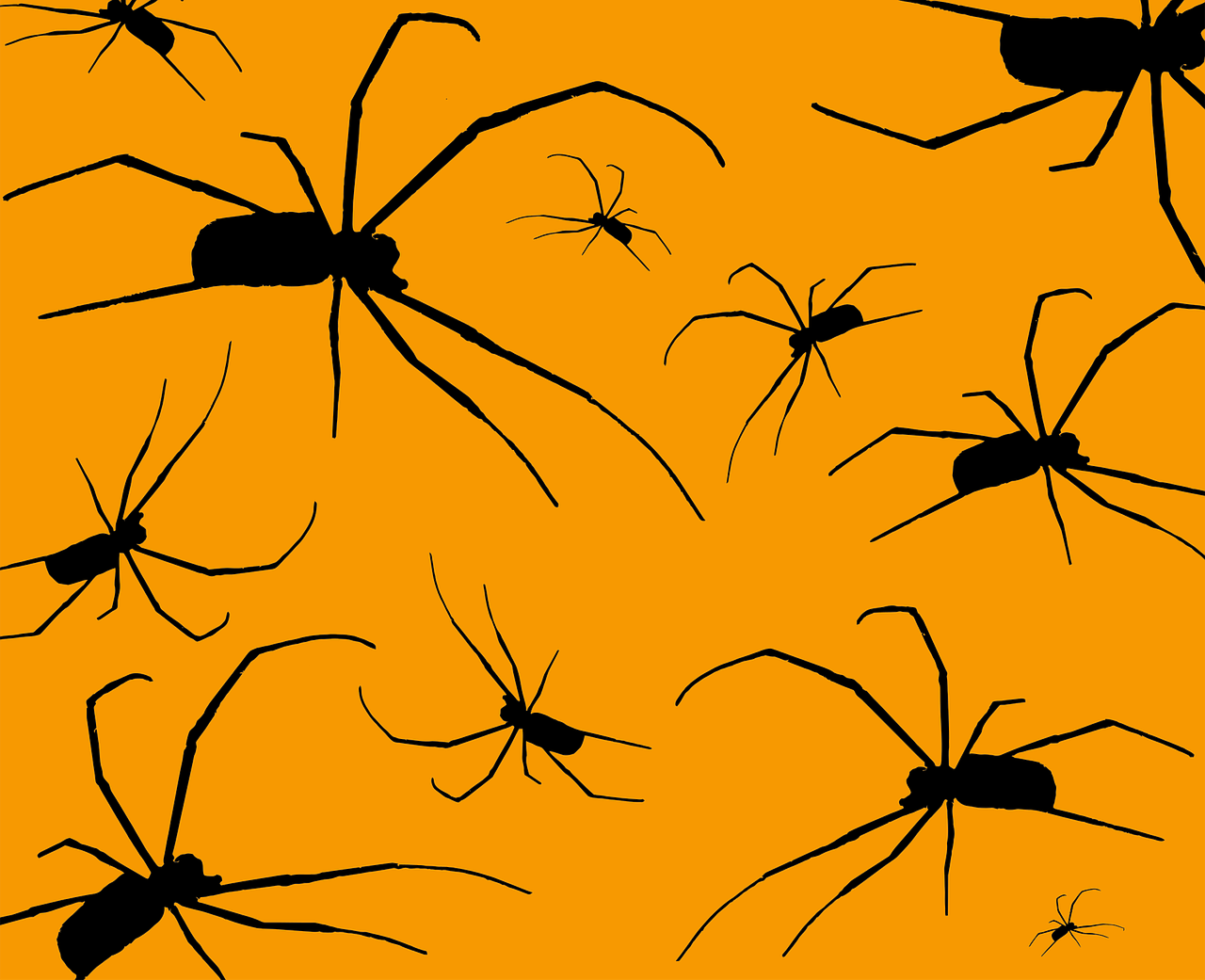 Arachnid, Baimė, Halloween, Fobija, Baugus, Vorai, Nemokama Vektorinė Grafika, Nemokamos Nuotraukos,  Nemokama Licenzija