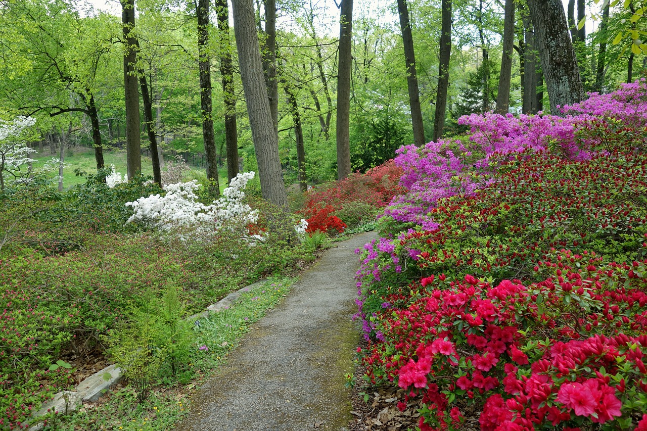 Arboretum, Devon, Pennsylvania, Gėlės, Kelias, Medžiai, Augalai, Gamta, Lauke, Nemokamos Nuotraukos