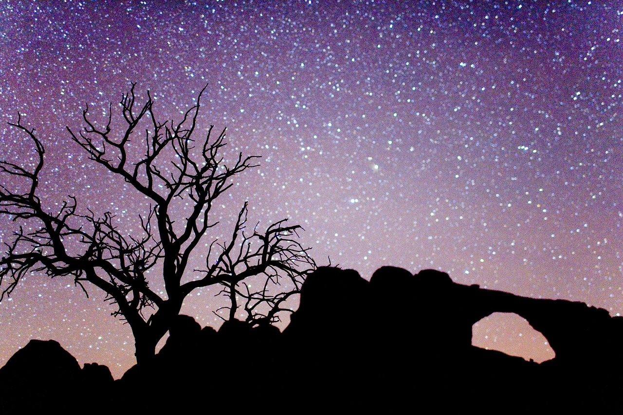 Arkos Nacionalinis Parkas, Naktinis Dangus, Žvaigždės, Siluetas, Medžiai, Akmenys, Moab, Utah, Usa, Formavimas