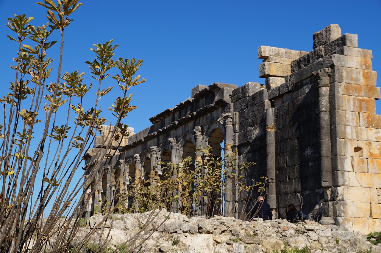 Griuvėsiai, Volubilis, Architektūra, Senovės, Pastatas, Romėnų Miestas, Kelionė, Marokas, Nemokamos Nuotraukos,  Nemokama Licenzija