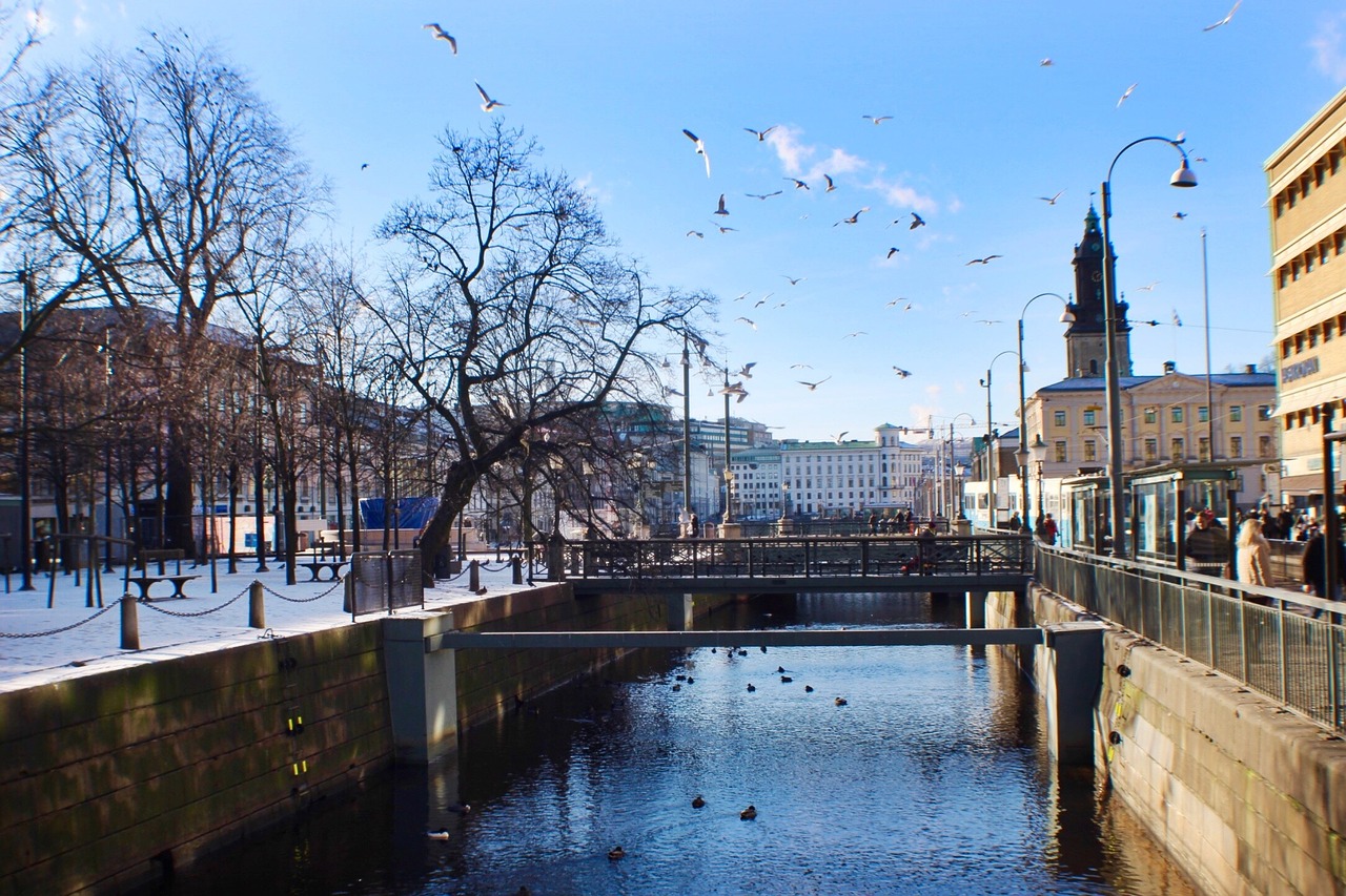 Architektūra, Pastatas, Infrastruktūra, Mėlynas, Dangus, Debesys, Gamta, Paukščiai, Skraidantis, Parkas