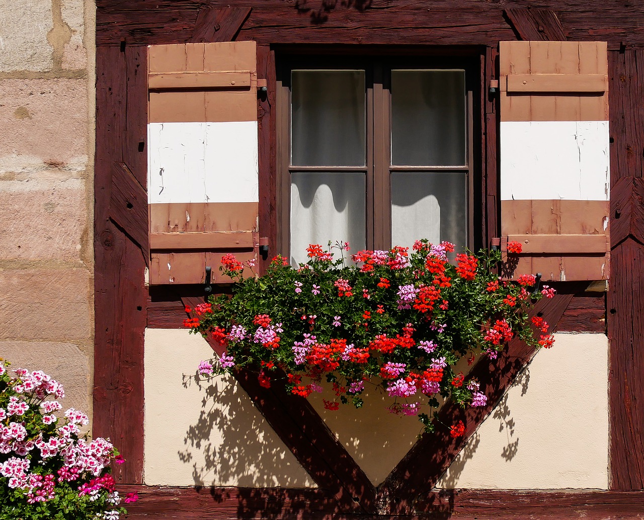 Architektūra,  Langas,  Statyba,  Gėlė,  Gėlių Dėžė,  Geranium,  Gėlių Dekoracijos,  Viduramžiai,  Santvara,  Mediena