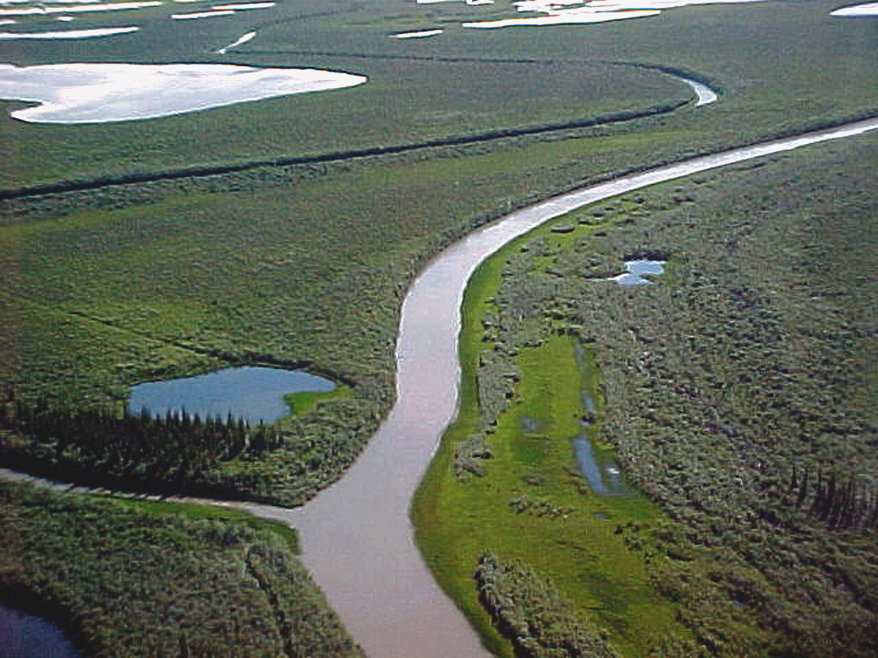 Tundra,  Arktinė,  Kraštovaizdis,  Antena,  Nuotrauka,  Arktinė Tundra Netoli Tuko, Nemokamos Nuotraukos,  Nemokama Licenzija