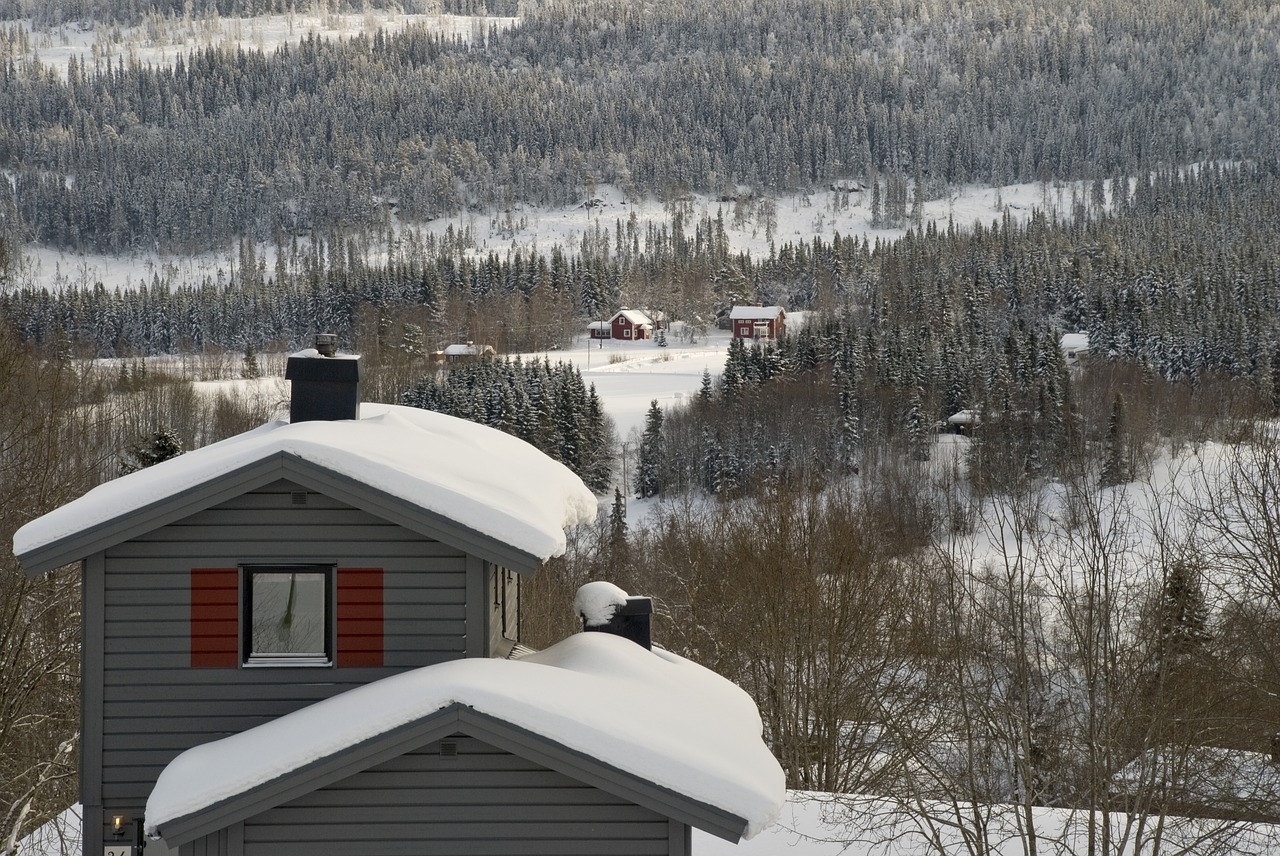 Yra, Hålland, Žiema, Sniegas, Sniego Kraštovaizdis, Šaltas, Kalnas, Jämtland, Švedija, Aušinimas