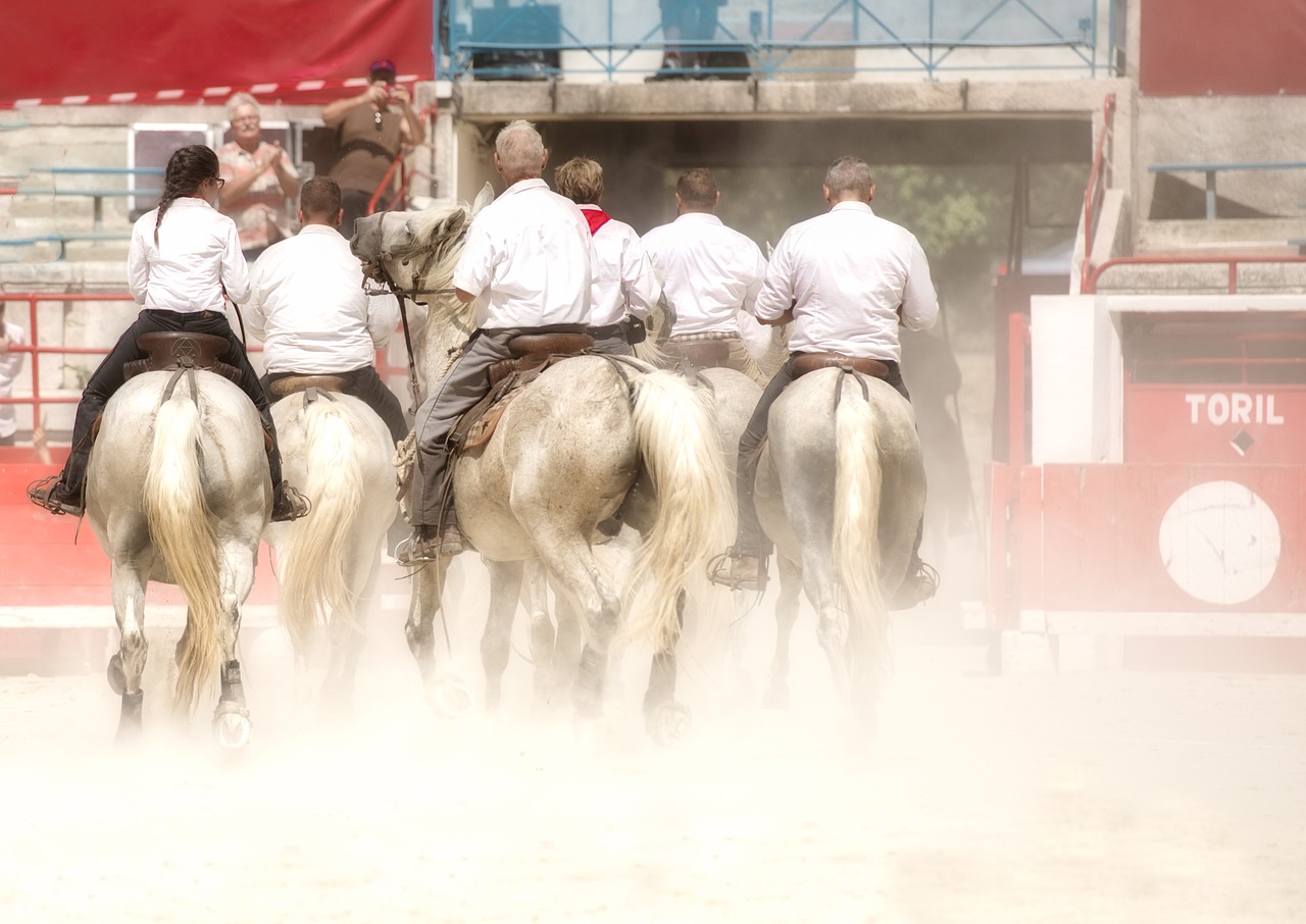 Arenos, Camargue, Arkliai, Gardininkai, Nemokamos Nuotraukos,  Nemokama Licenzija