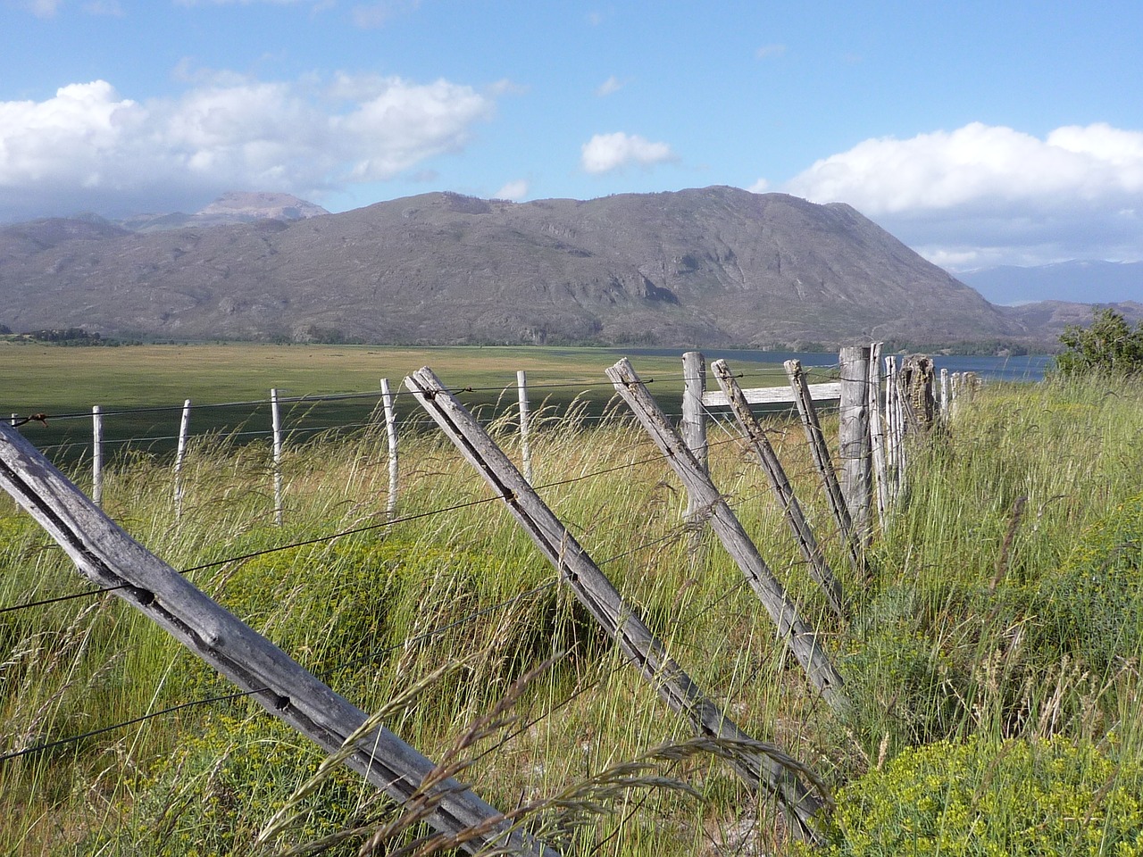 Argentina, Patagonia, Kraštovaizdis, Tvora, Medinis, Sienos, Nemokamos Nuotraukos,  Nemokama Licenzija