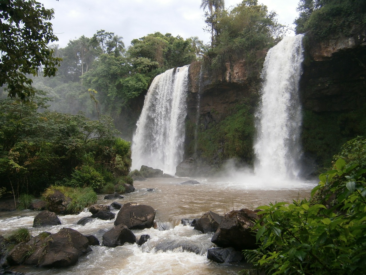 Argentina, Kritimo, Džiunglės, Miškas, Atogrąžų Miškai, Iguassu, Turizmas, Peizažas, Stebuklas, Natūralus