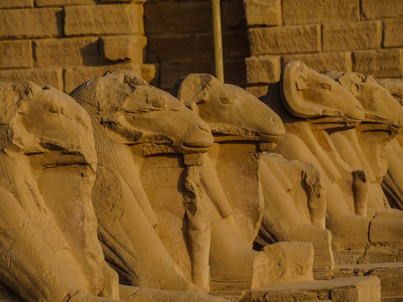 Aries,  Šventykla,  Karnakas,  Skulptūra,  Senovė,  Statula,  Serijos,  Architektūra,  Lėktuvo Galva,  Galva