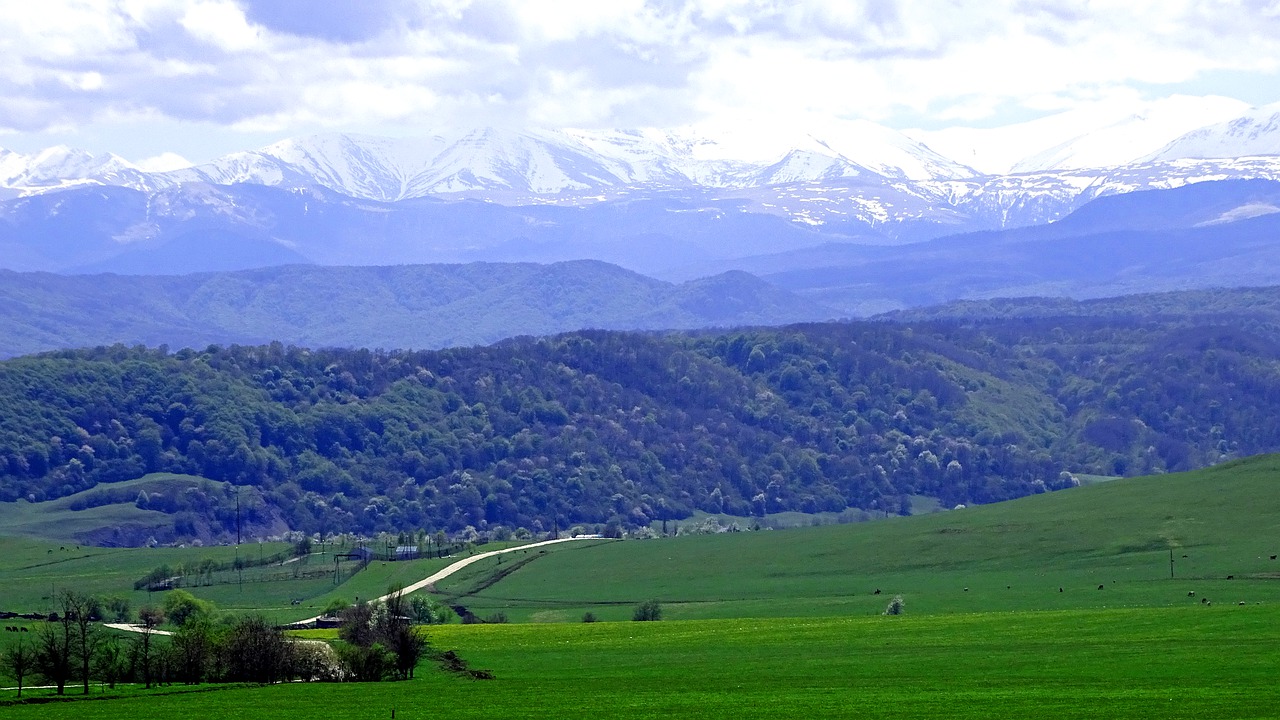 , Nemokamos Nuotraukos,  Nemokama Licenzija