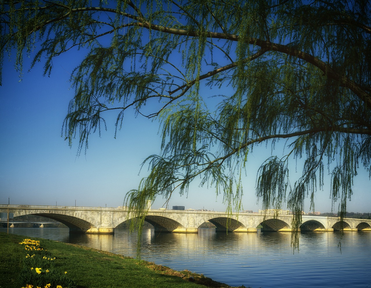 Arlingtono Memorialinis Tiltas, Vašingtonas, Potomac Upė, Architektūra, Medžiai, Krantas, Kranto Linija, Orientyras, Istorinis, Nemokamos Nuotraukos