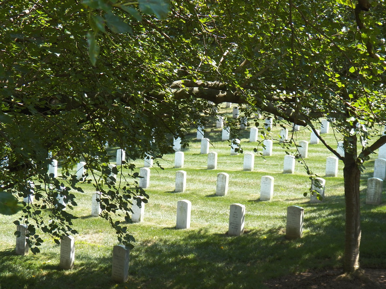 Arlingtono Nacionalinės Kapinės, Pagarba, Arlington Va, Veteranai, Kapinės, Kariuomenė, Arlingtonas, Paminklas, Nacionalinis, Karas