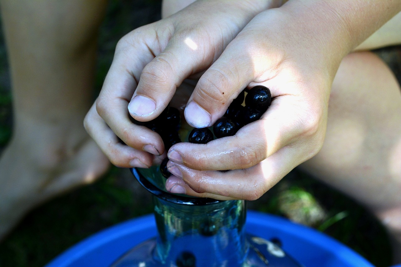 Aronia, Maži Vaisiai, Ranka, Rankos, Sultys, Šviežias, Subrendęs, Natūralus, Preparatai, Vaisiai