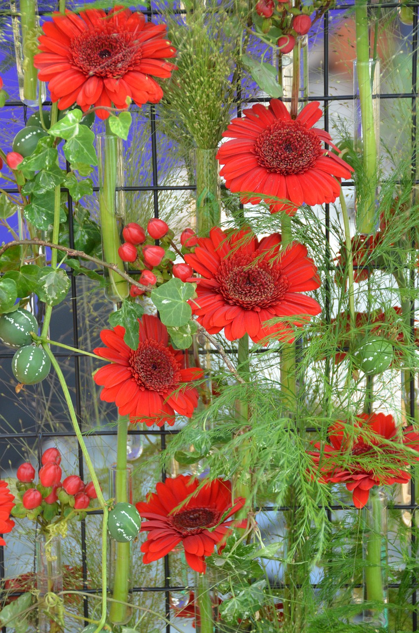 Išdėstymas, Gėlės, Raudona, Japanese, Flora, Floristisch, Augalas, Nemokamos Nuotraukos,  Nemokama Licenzija