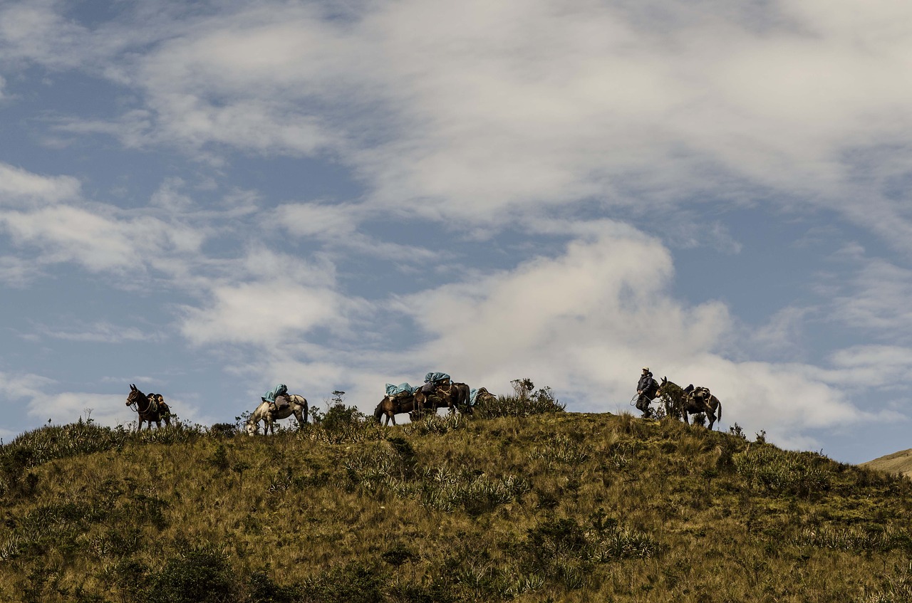 Arrieros, Peruu Andesas, Andes Saulėlydis, Nemokamos Nuotraukos,  Nemokama Licenzija