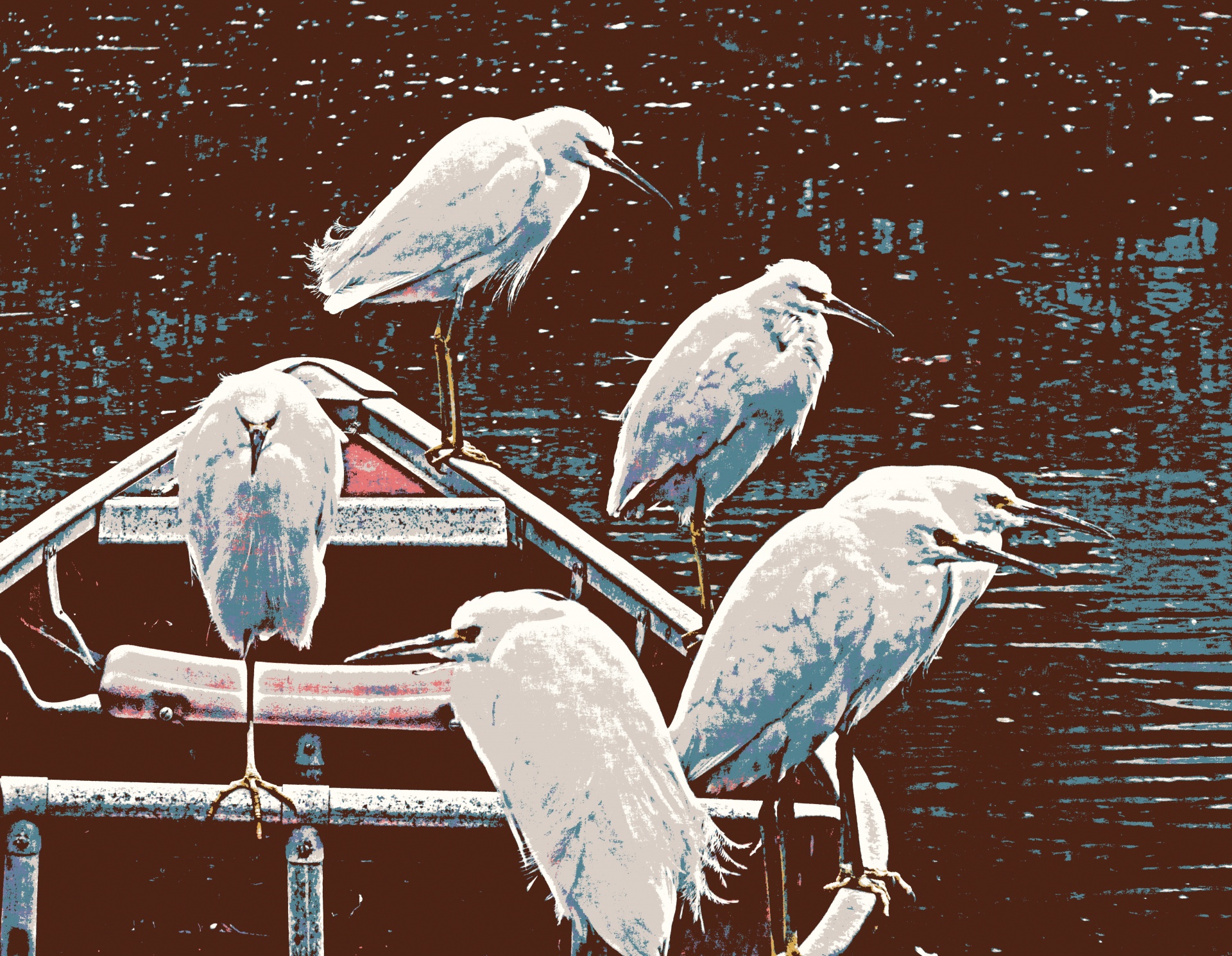 Egret,  Egrets,  Snieguotas & Nbsp,  Egrets,  Balta,  Paukštis,  Paukščiai,  Laukinė Gamta,  Kanalas,  Valtis